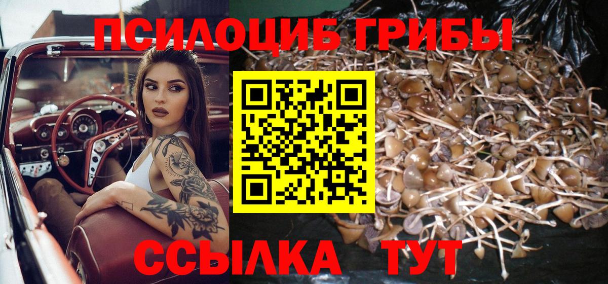 Галлюциногенные грибы мицелий Подольск