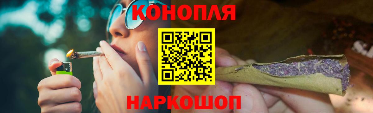 Бошки Шишки план Подольск